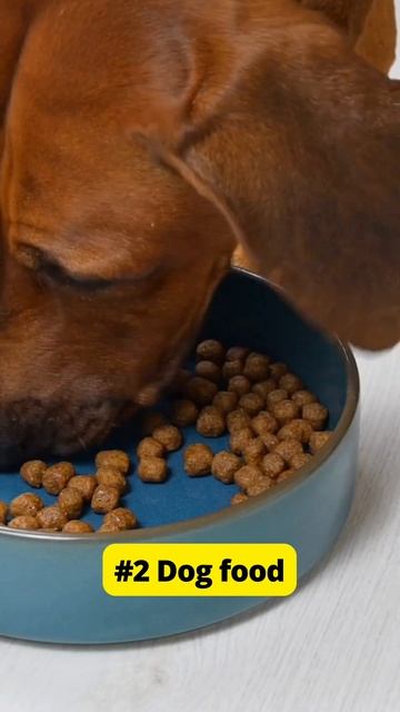 Foods🧂toxic to cats 🙀 (part 4) #catvideos #cat #catsoftiktok #catfacts #catlover #fyp #catfood