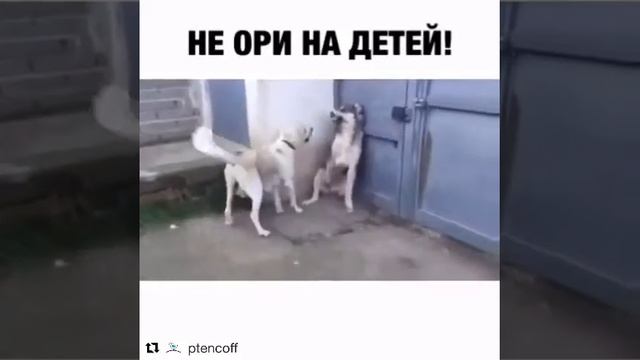 Не ори на детей!!!