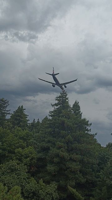 Большой самолёт✈️.mp4