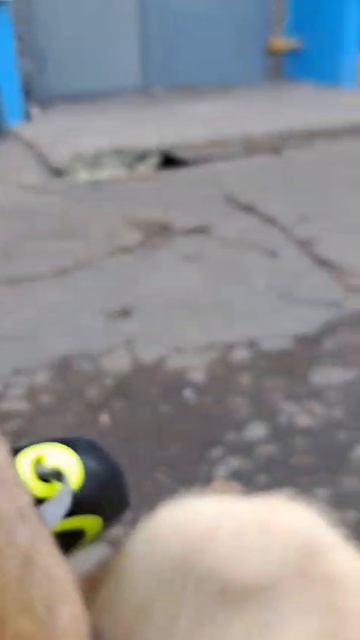 7117