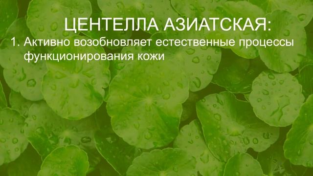 Картинка 4 Рилс ТОник с центеллой