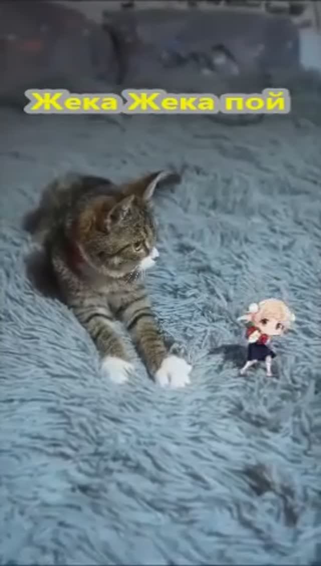Жека Жека пой