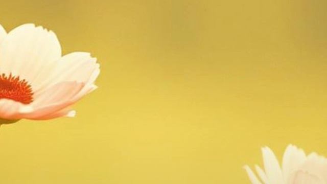 2 C женским днём вас поздравляем!