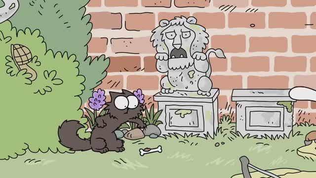 📺 История про котика Тедди | Смешные котики