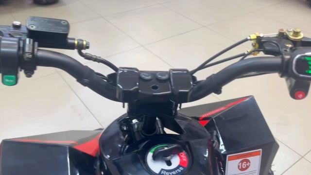Детский квадроцикл MOTAX GEKKON E1300 красный