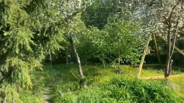 1000001522.mp4