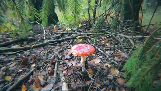 Одиночное мотопутешествие на альфе😬Сезон дождей Путь в 2500Часть 2