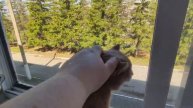 🧤Убралась в прихожей. 💪Бортируем колесо.🌳 Весна, все зеленеет!
