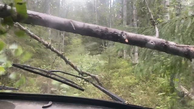 УАЗ буханка в деле! Стальные карельские яйца.