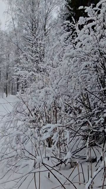 Открой Россию