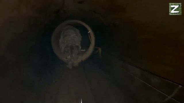 Операция Историческая.