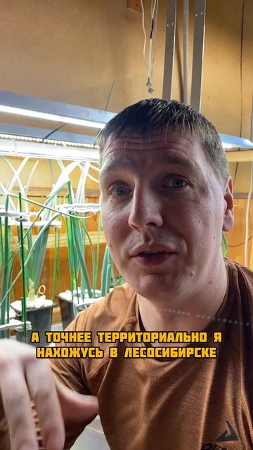 Поделюсь гигантским луком