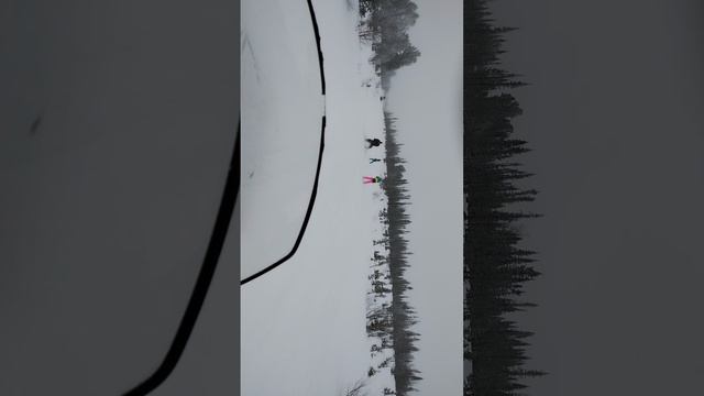 1000016443.mp4