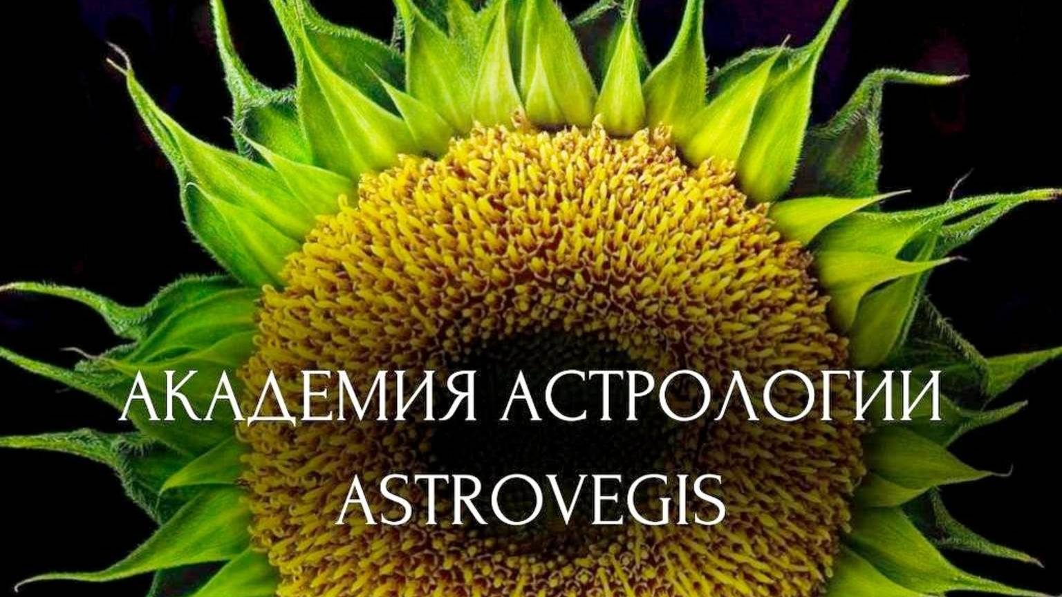 фазы Луны