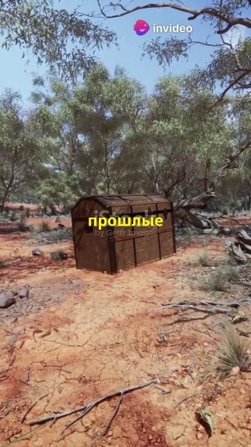Раскрой своё истинное предназначение!