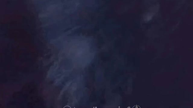 11-03-2025