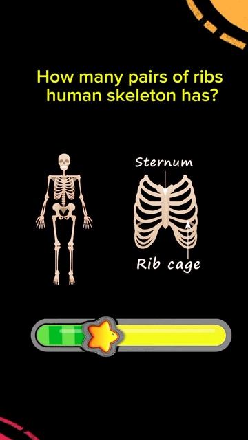 pair of ribs in human skeleton #viral#youtubeshorts #quiz