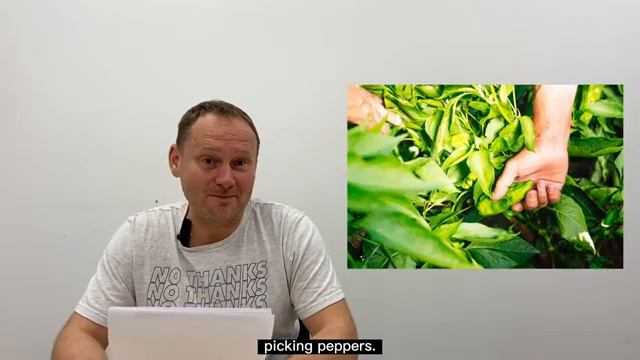 Pepper pickers