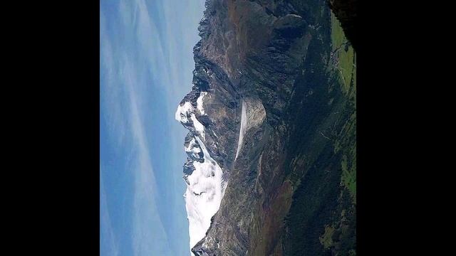 Окаменевшие представители кремниевой формы жизни