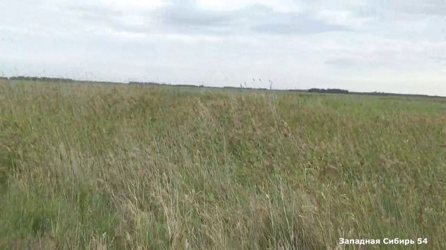 Охота на утку! Осень 2023г.