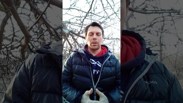 20250311_172547.mp4
