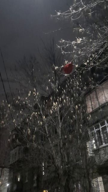 Один остался из трёх. Сколько провисит?