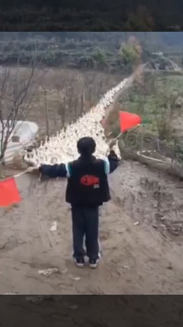 1000076267.mp4