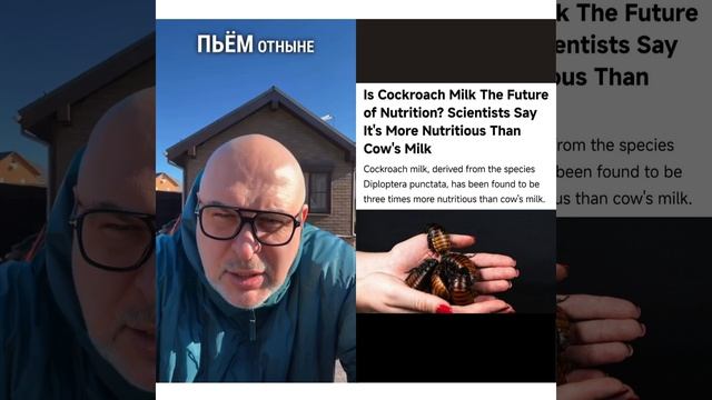 🥛 Тараканье молоко — будущее на полках супермаркетов? 😳