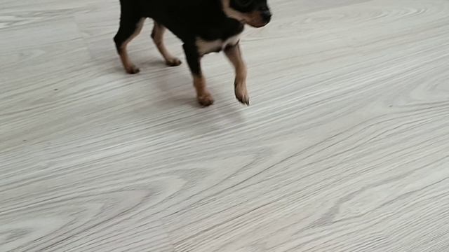1000045936.mp4