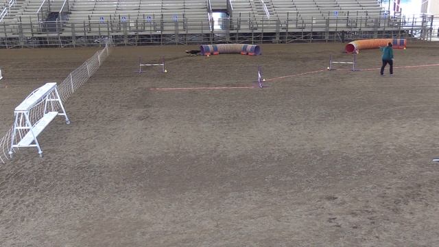 Ally Chances - NADAC Hosted Trial - Norco, CA - May 2018