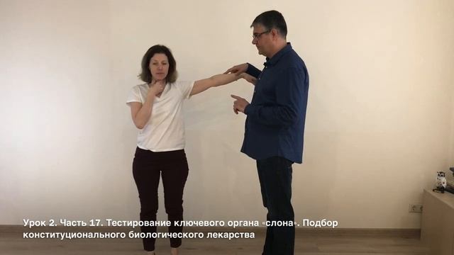 Часть 17. Тестирование ключевого органа слона. Индивидуальный подбор лекарства