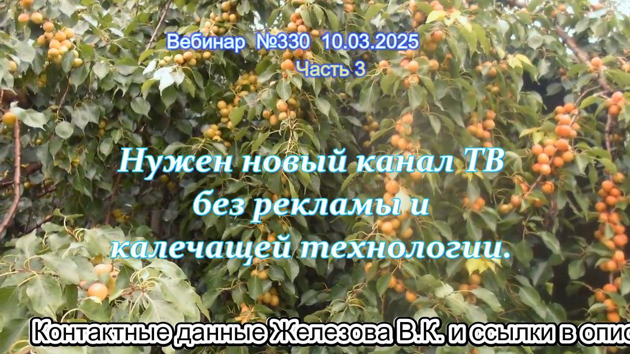 Железов Валерий. Вебинар 330. ч.3. Нужен новый канал ТВ без рекламы и калечащей технологии.