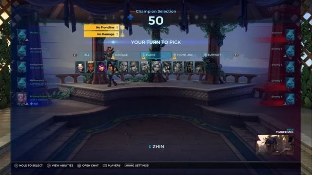 Paladins Mega Session w/Brikony ; Pocket Healing Bunny