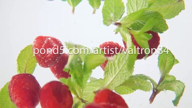 raspberries and mint falling into water on white background. Macro view