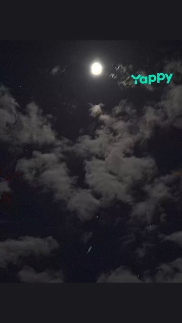 yappy_download_48c7648e7d6547d28770dacf66dac68c.mp4