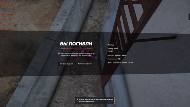 дм trim-video-online.com_1741726145