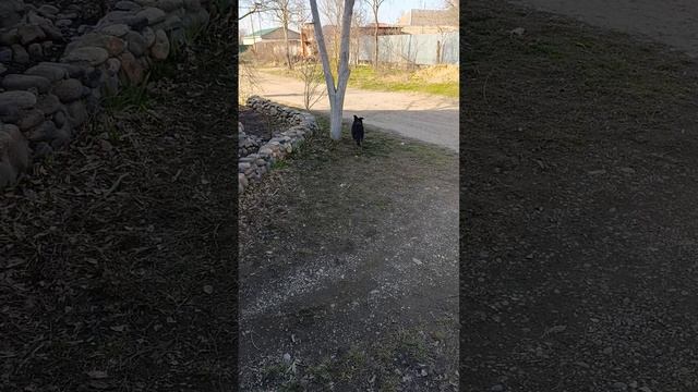 1000001979.mp4