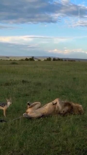 Когда нет страха