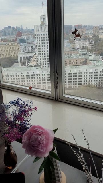 Прошлая работа)  Я уволилась и уехала в кругосветное путешествие на 8 месяцев