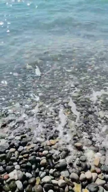 Ситуация на пляжах Сухум #абхазия