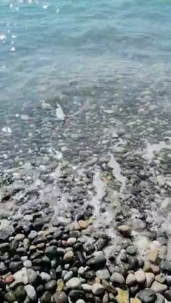 Ситуация на пляжах Сухум #абхазия