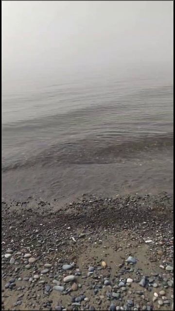 Набережная Агудзеры в тумане