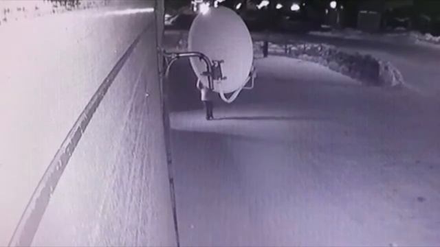 Внимание, розыск!