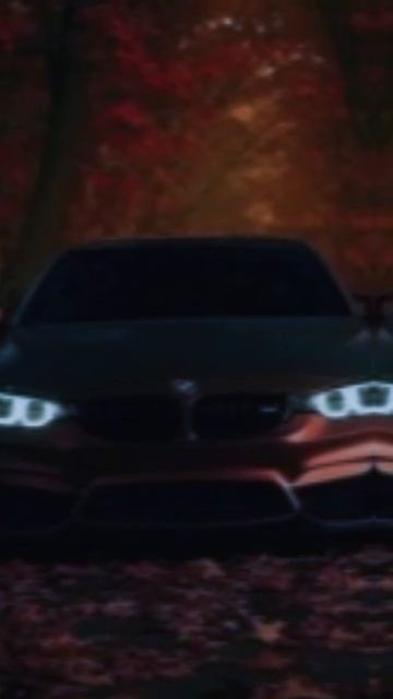 1000045813.mp4