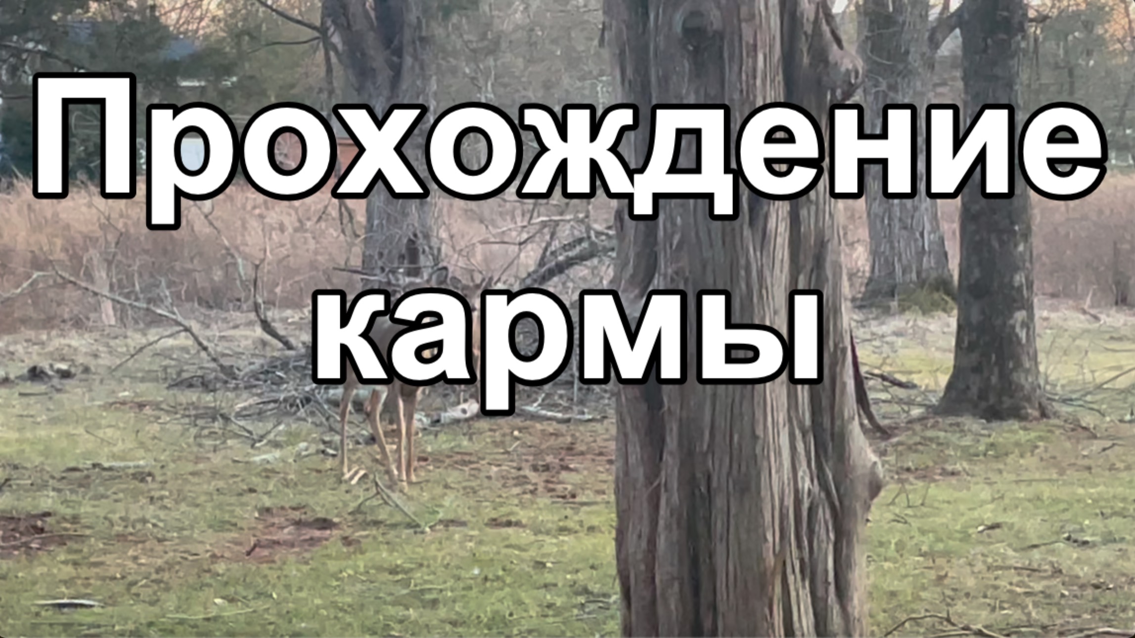 Прохождение кармы