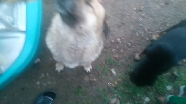 VID_20250311_064842