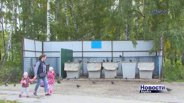 Городские голуби - символ мира или переносчики опасных болезней?