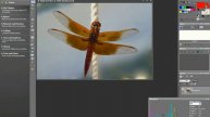 Using the High-Pass Sharpen Filter - Paint Shop Pro Photo X2 Ultimate