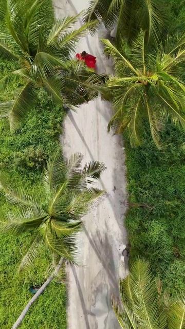 Алые паруса💃🌴