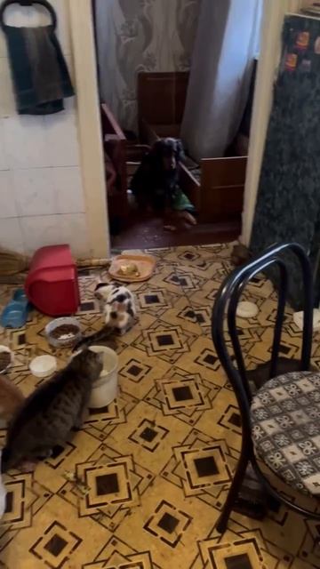 1000068932.mp4